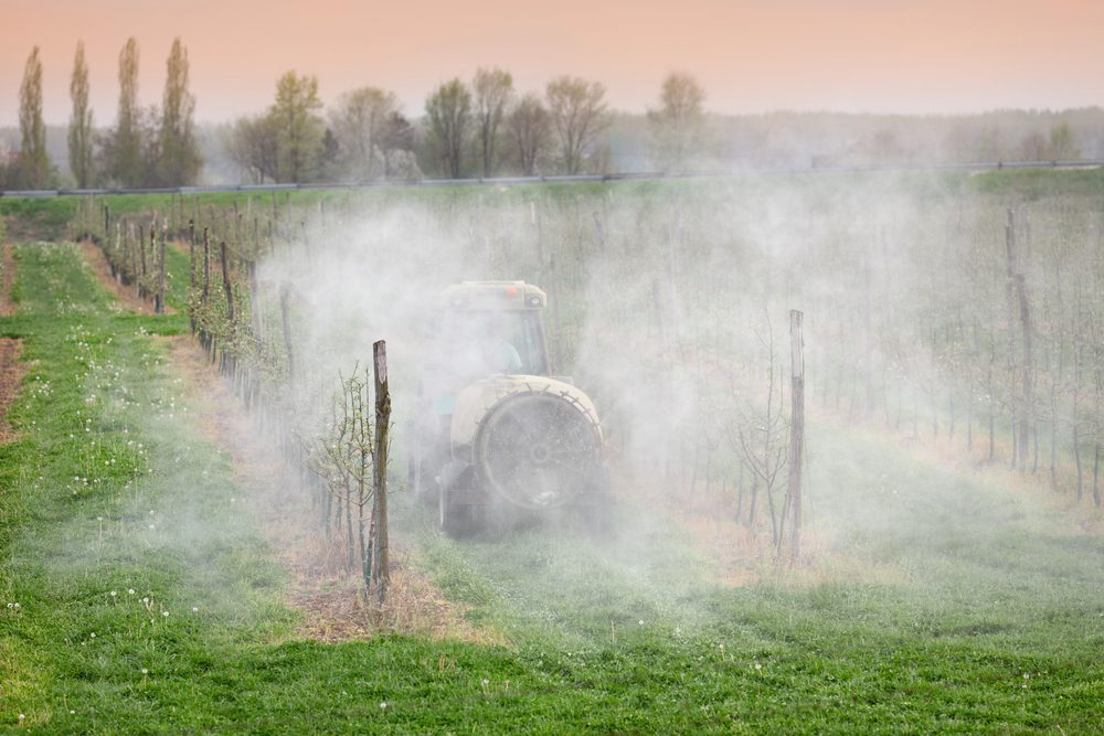 Un engin agricole pulvérise des pesticides dans un verger.
